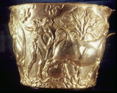 Cup depicting a domestic bull, found in the royal tomb of Vaphio, Sparta, late Minoan I, c.1500 BC by Minoan